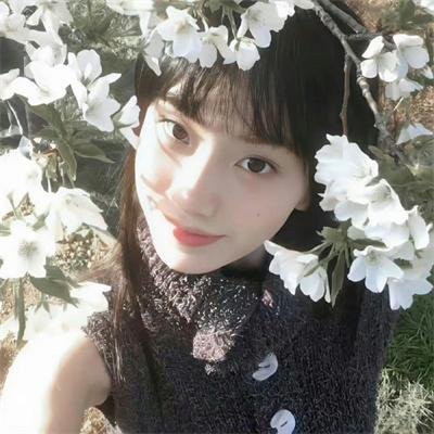 小绿和小蓝第二季